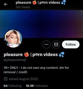 best porn profiles on twitter|OUR BEST SELECTION OF 23 X TWITTER PORN ACCOUNTS。